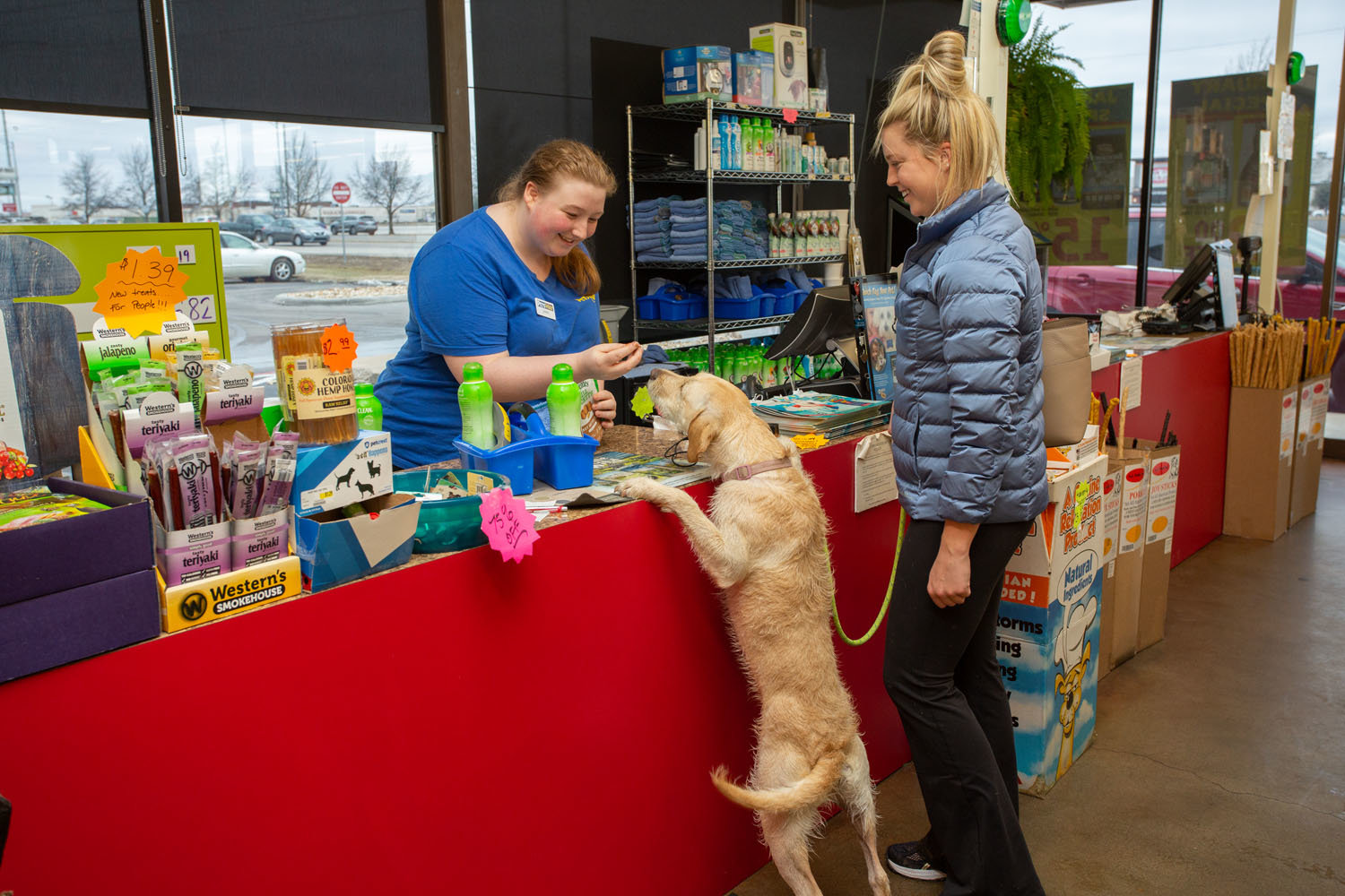 OPEN FOR BUSINESS: Petsway employee Jaimie Hignight, left, cashes out customer Blair Roades and her dog Benley at the pet retailer’s Glenstone Avenue store. Officials say no local stores are expected to close.
